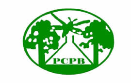 Partner 6